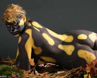 Claudia - Feuersalamander